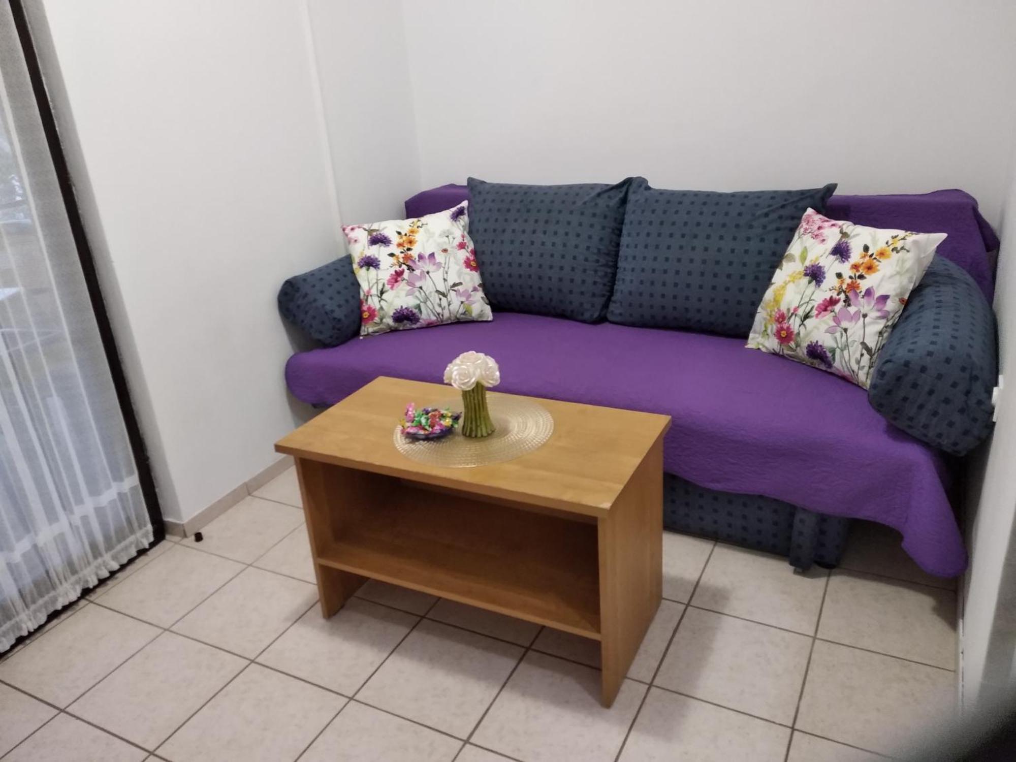 Apartment Savic スタリグラード エクステリア 写真